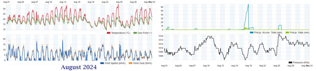 Wetterhistorie August 2024